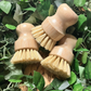 Bamboo Lid Cleaning Brush